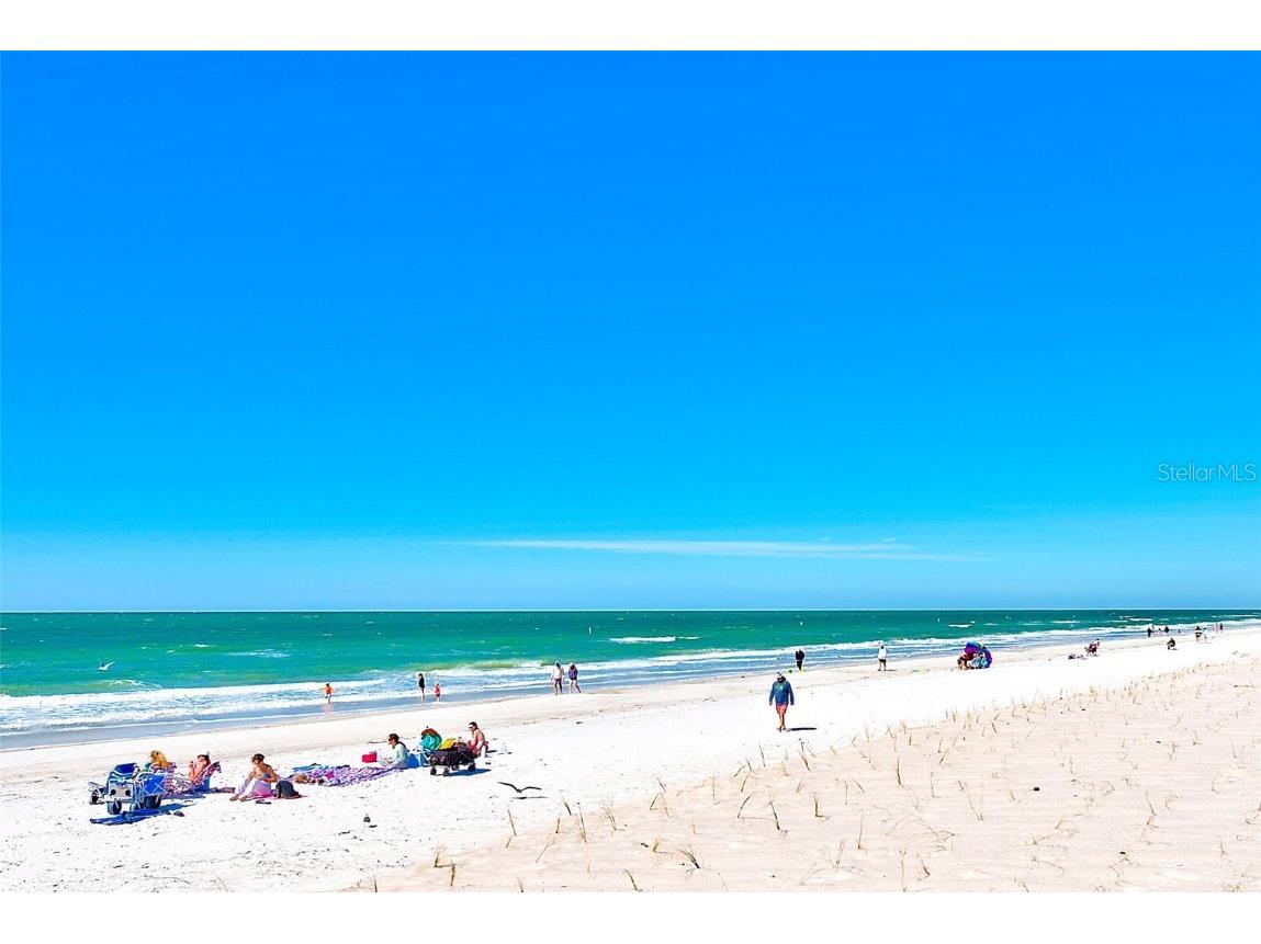 519 11th Avenue NW Largo FL 33770 TB8438905 image43