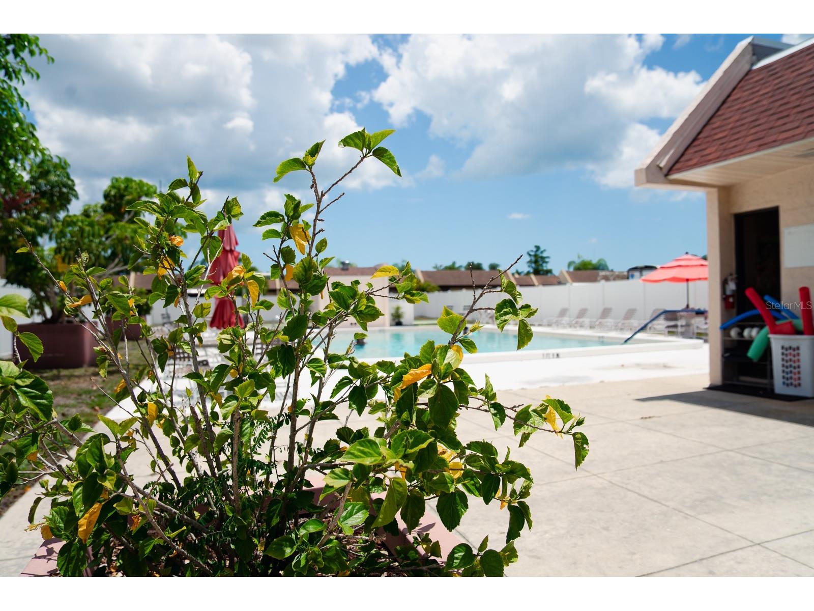 519 Albee Farm Road #110 Venice FL 34285 TB8509337 image28