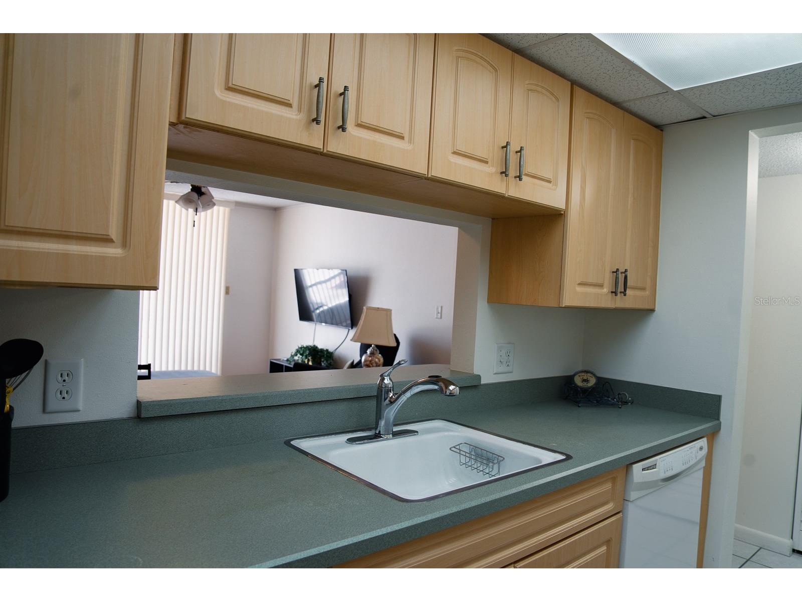 519 Albee Farm Road #110 Venice FL 34285 TB8509337 image8