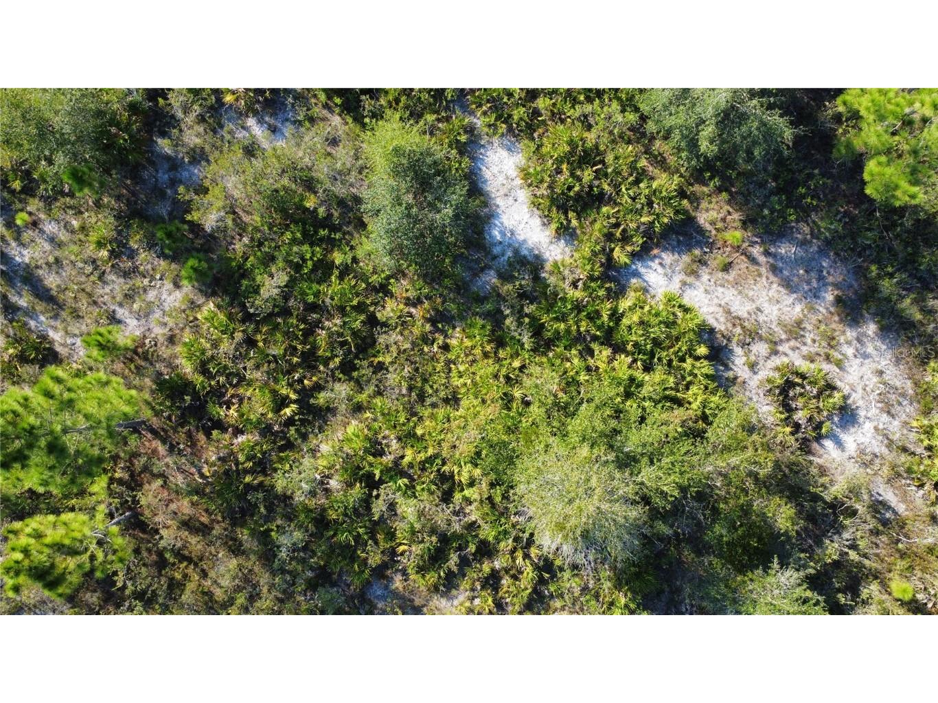 519 Allamanda Drive Indian Lake Estates FL 33855 TB8446964 image10