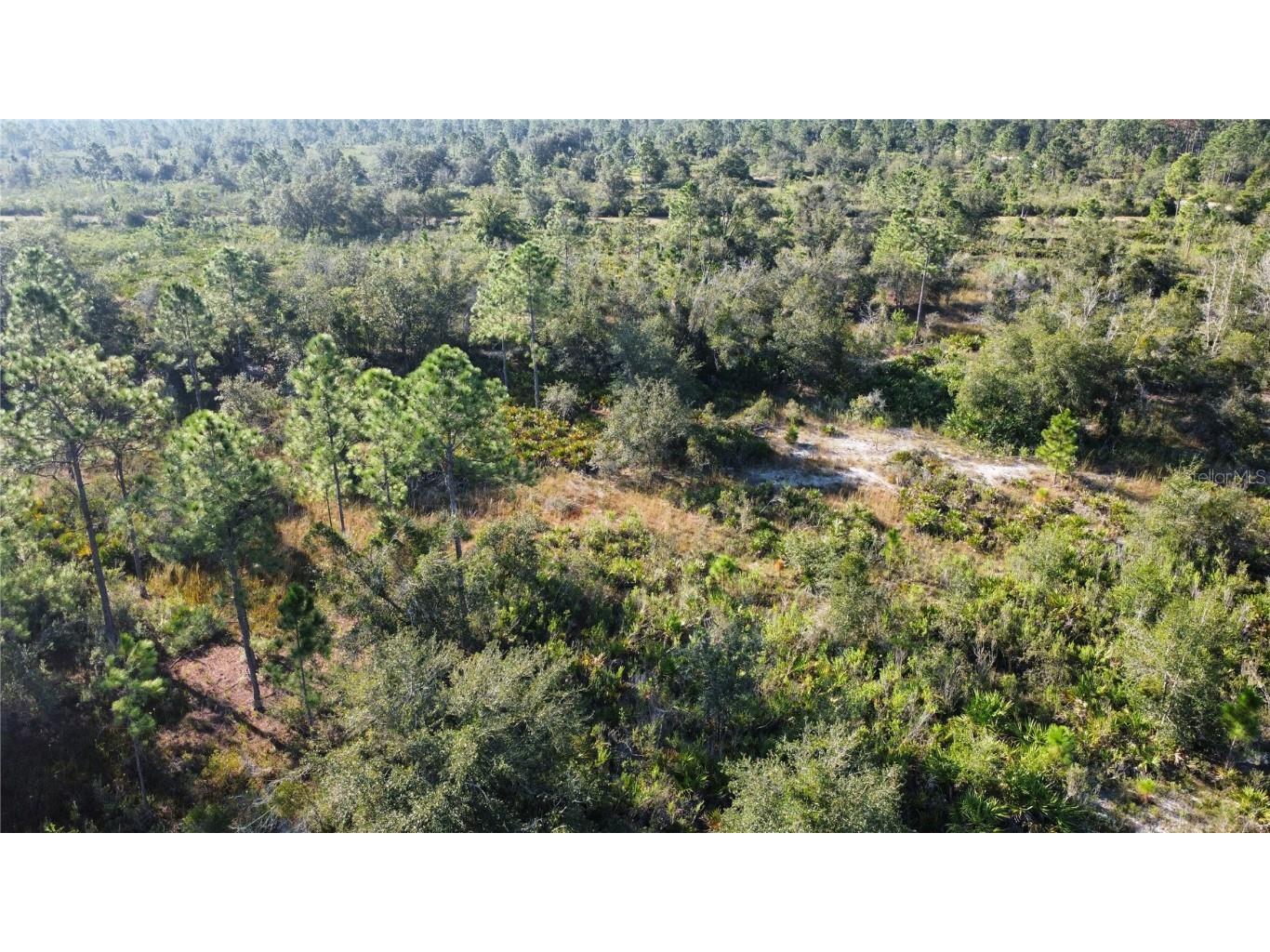 519 Allamanda Drive Indian Lake Estates FL 33855 TB8446964 image2