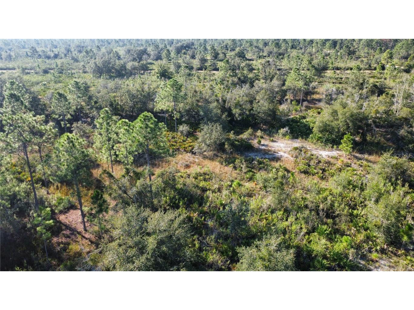 519 Allamanda Drive Indian Lake Estates FL 33855 TB8446964 image3