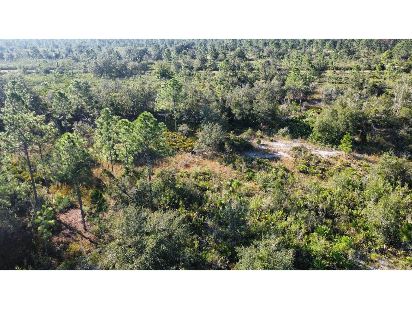 519 Allamanda Drive Indian Lake Estates FL 33855 TB8446964 image4