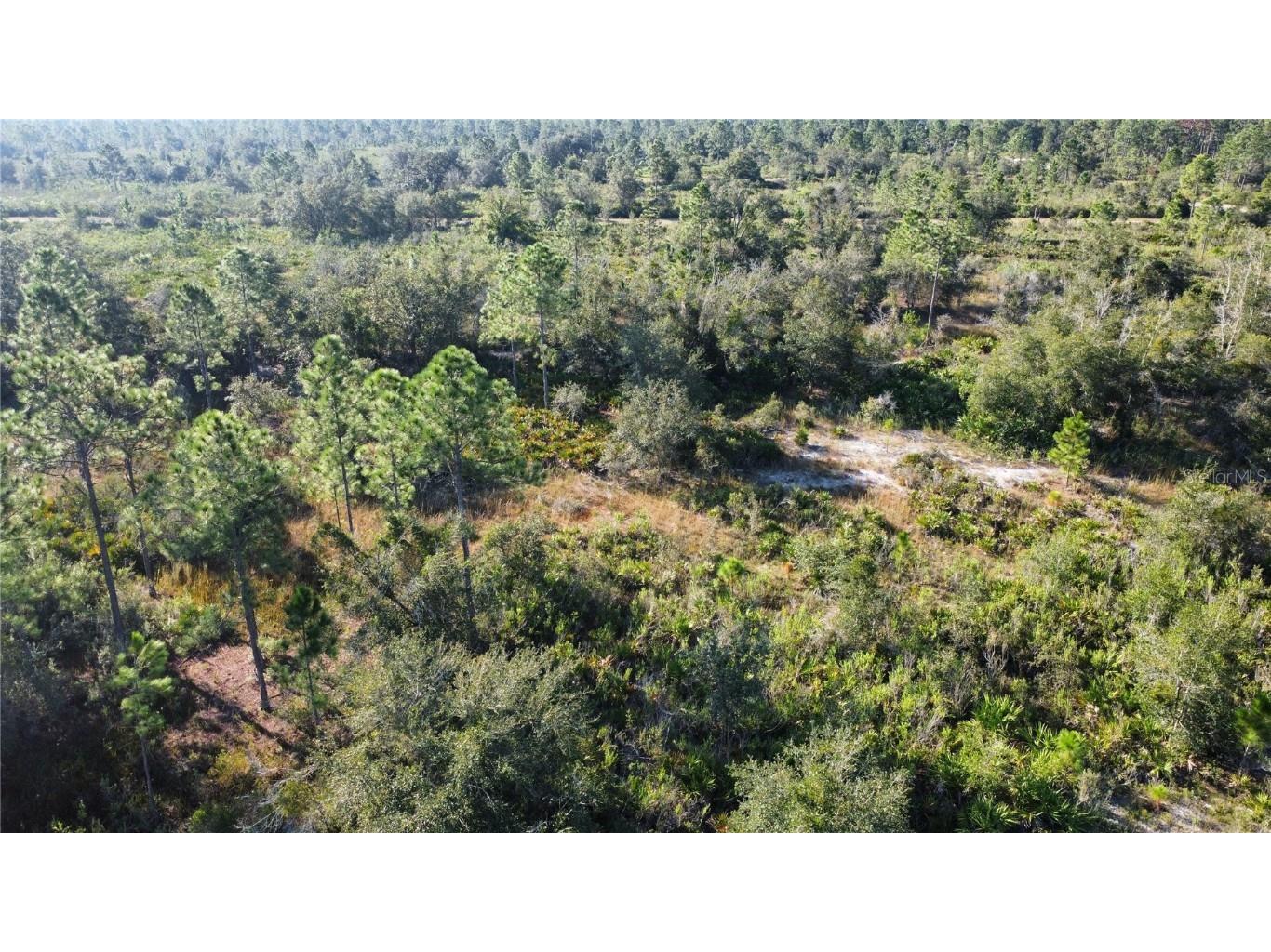 519 Allamanda Drive Indian Lake Estates FL 33855 TB8446964 image5