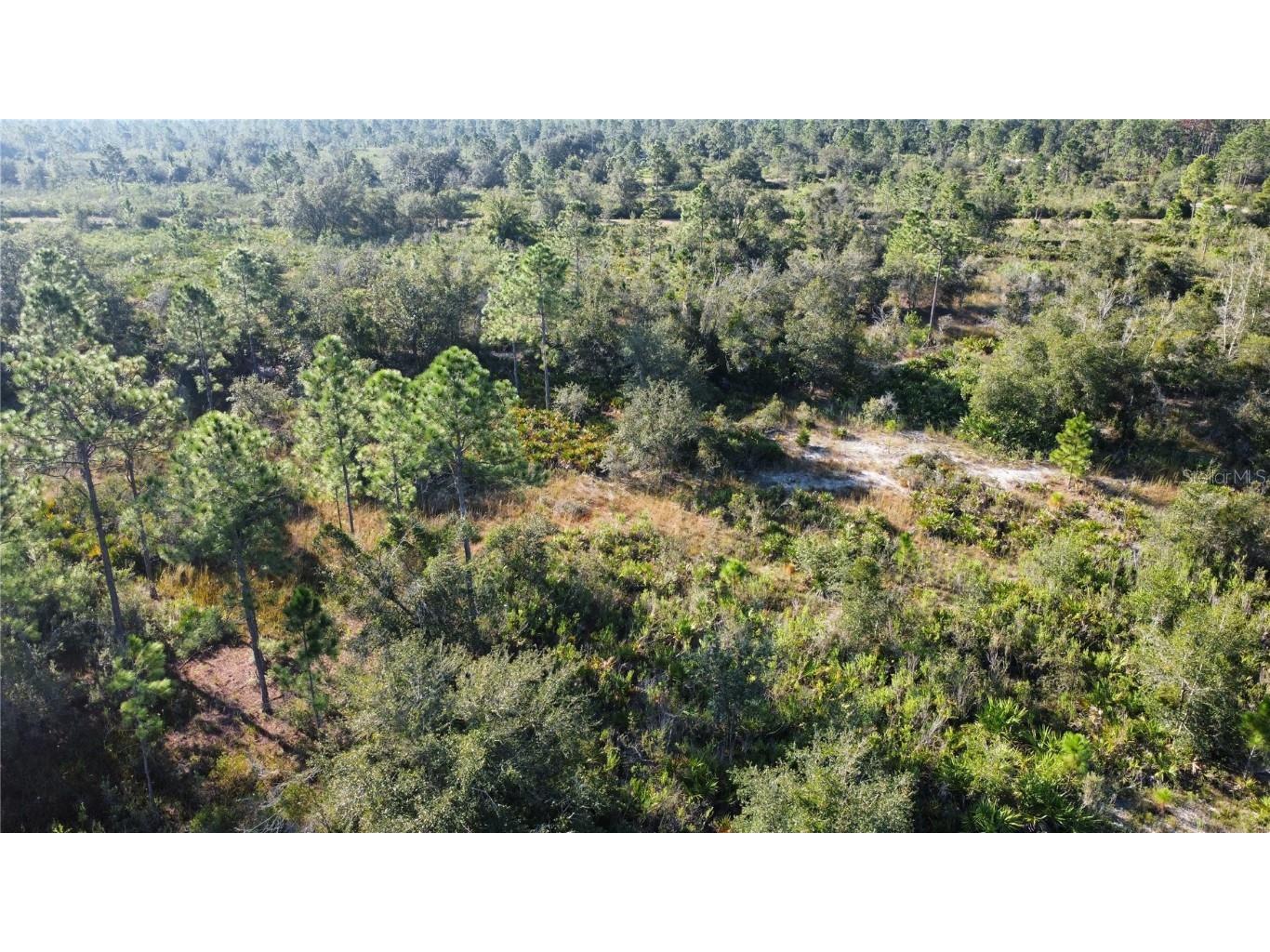 519 Allamanda Drive Indian Lake Estates FL 33855 TB8446964 image6