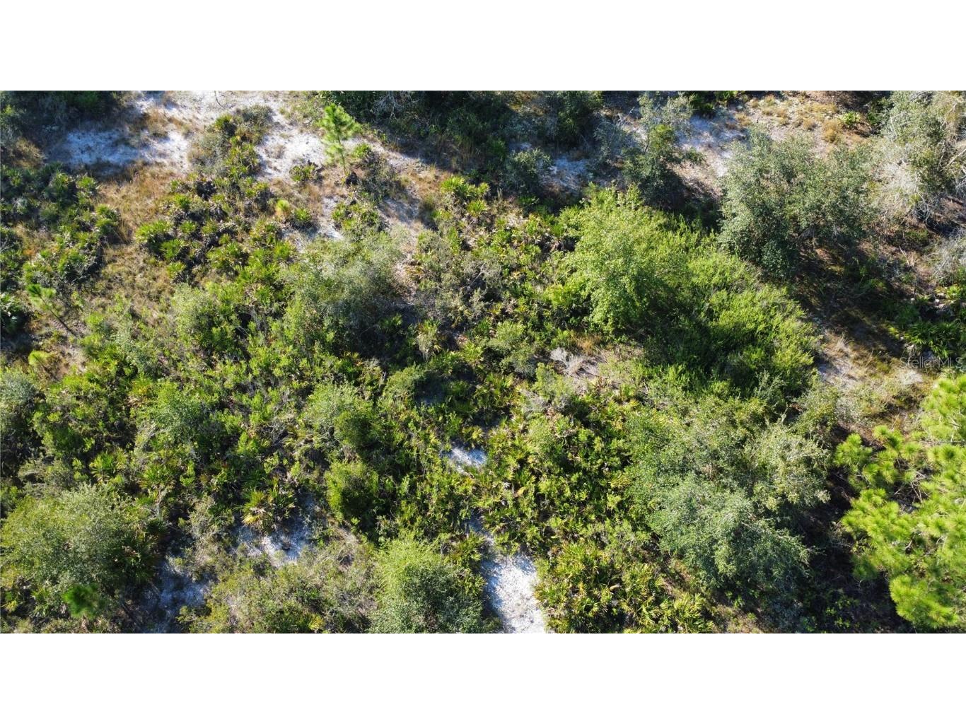 519 Allamanda Drive Indian Lake Estates FL 33855 TB8446964 image9