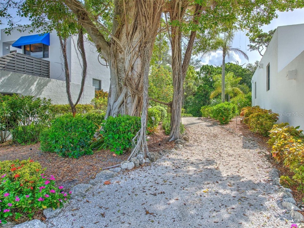 519 Bayport Way #519 Longboat Key FL 34228 - GULF OF MEXICO T3488580 image2