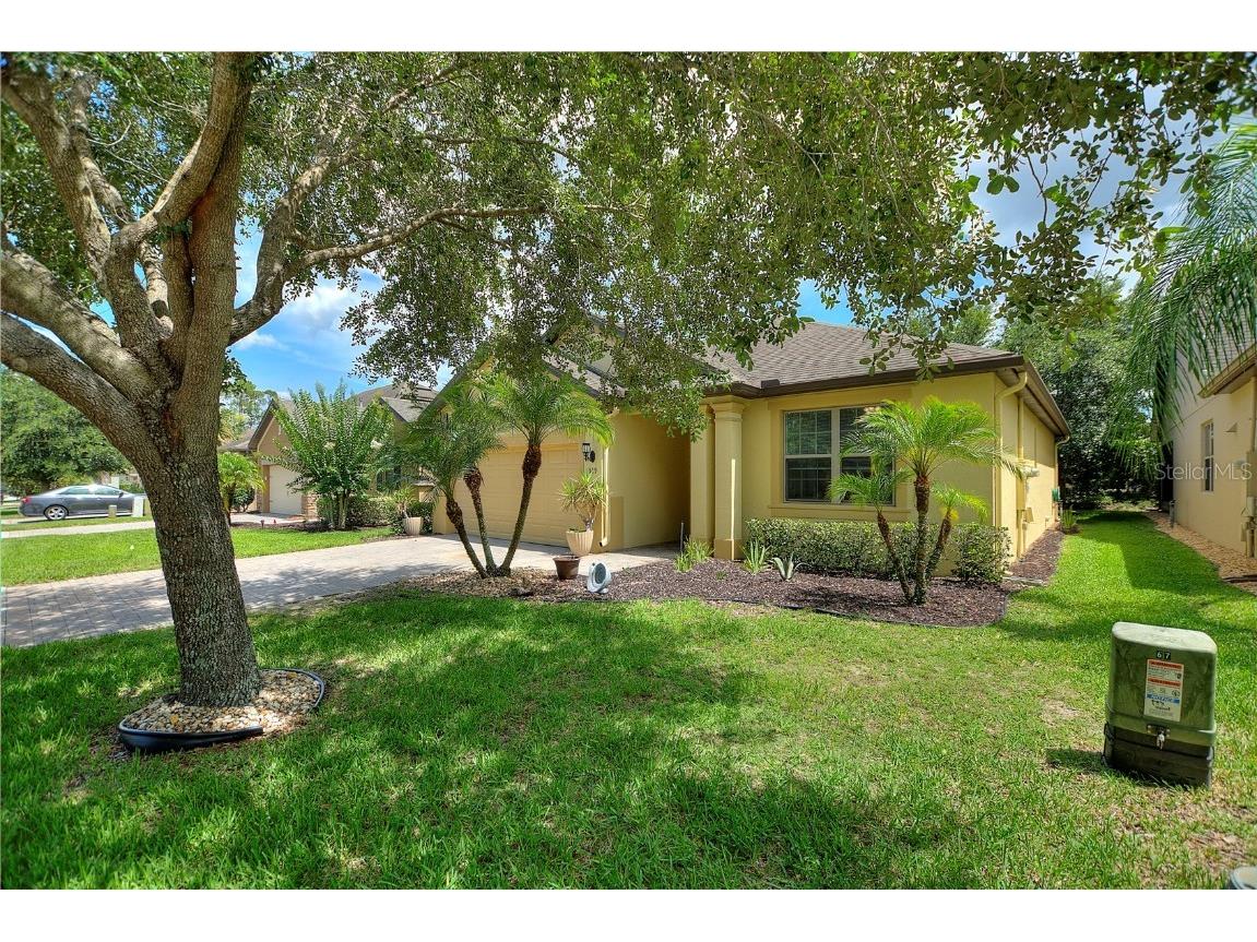 519 Cadiz Drive Davenport FL 33837 O6356547 image33