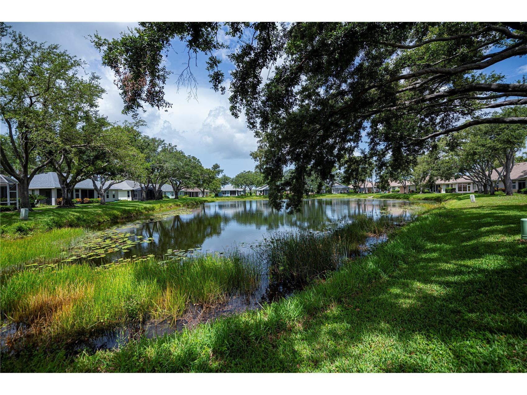 519 Catalina Isles Circle Venice FL 34292 N6139316 image61