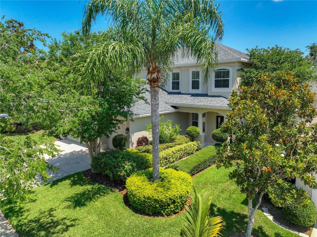 519 Harbor Grove Circle Safety Harbor FL 34695 T3530761 image1