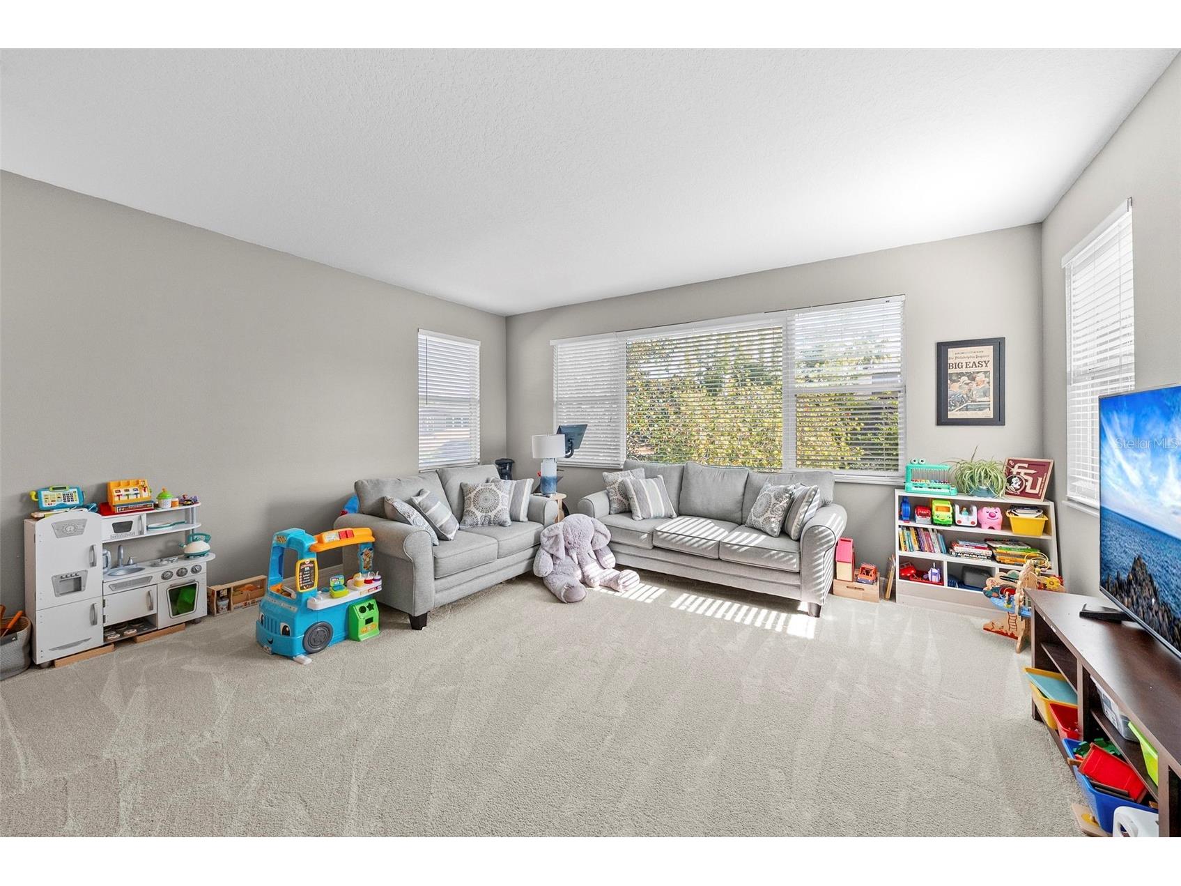 519 Harbor Grove Circle Safety Harbor FL 34695 TB8506147 image11