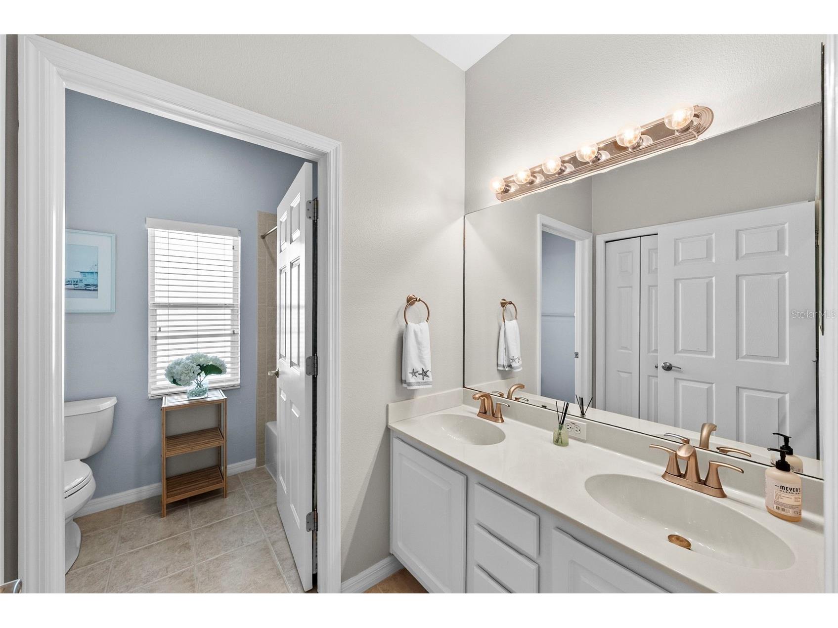 519 Harbor Grove Circle Safety Harbor FL 34695 TB8506147 image40