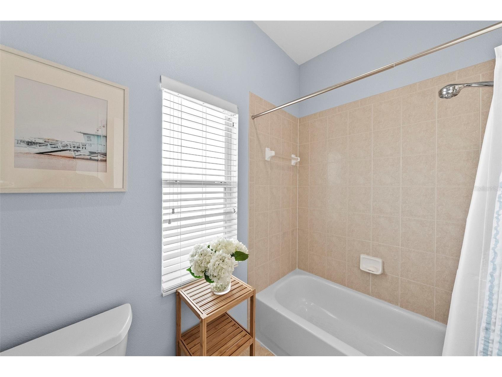 519 Harbor Grove Circle Safety Harbor FL 34695 TB8506147 image41
