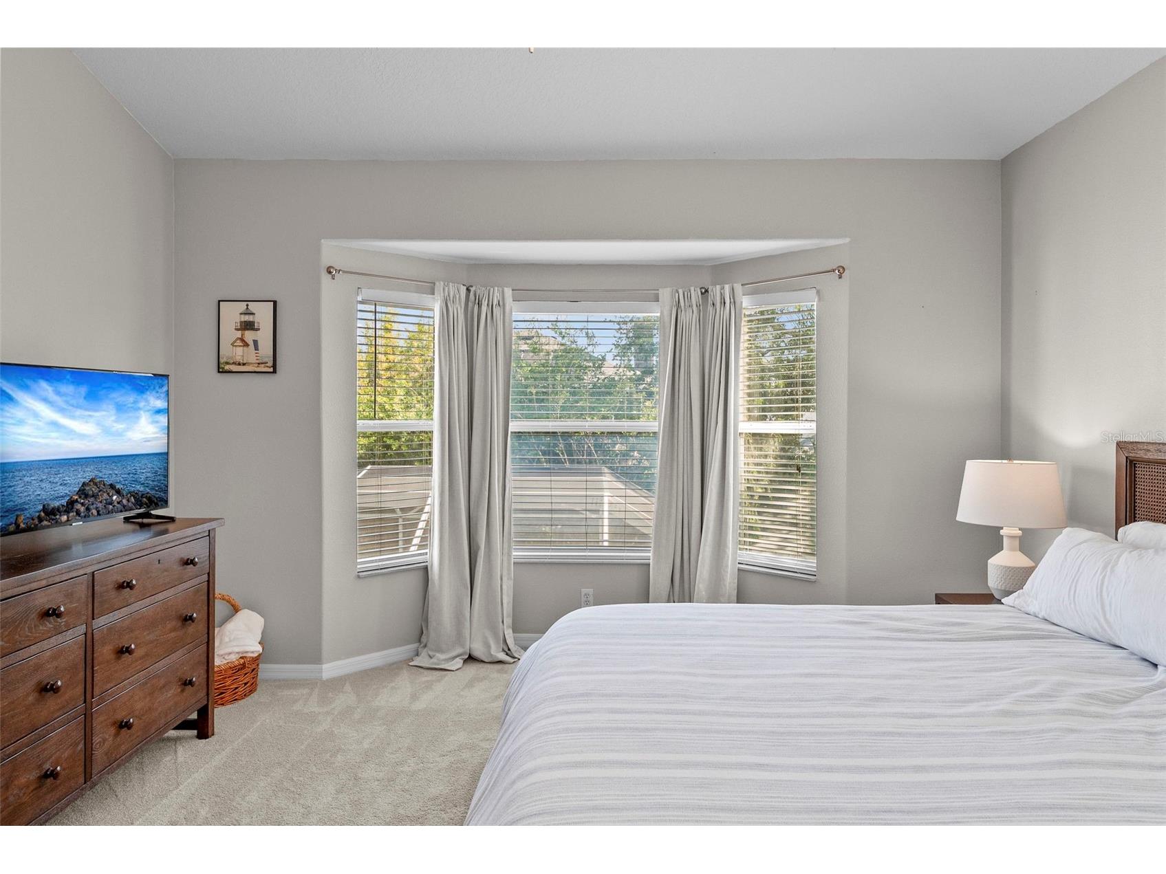 519 Harbor Grove Circle Safety Harbor FL 34695 TB8506147 image47