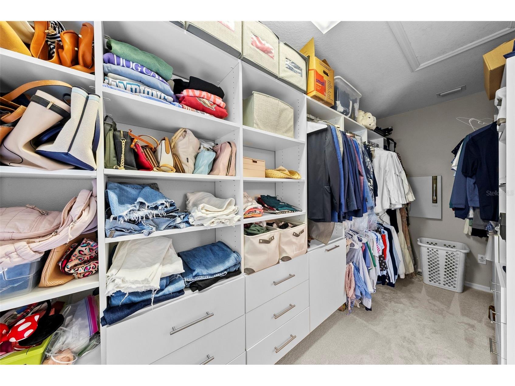 519 Harbor Grove Circle Safety Harbor FL 34695 TB8506147 image48