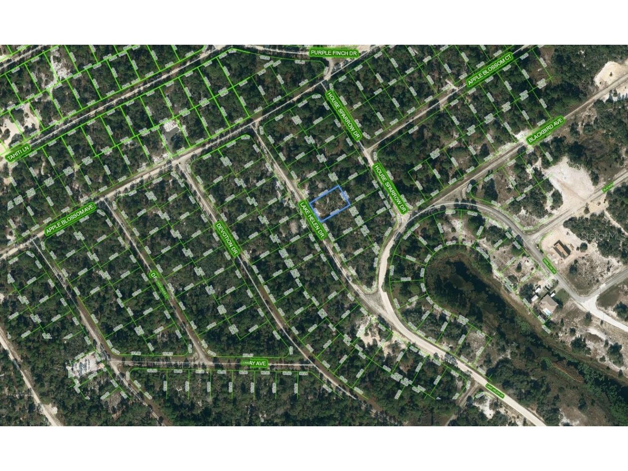 519 Lake Helen Drive Lake Placid FL 33852 OM624319 image1