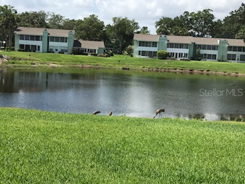 519 Midway Drive #A Ocala FL 34472 - LAKE SPARKLE OM725522 image32
