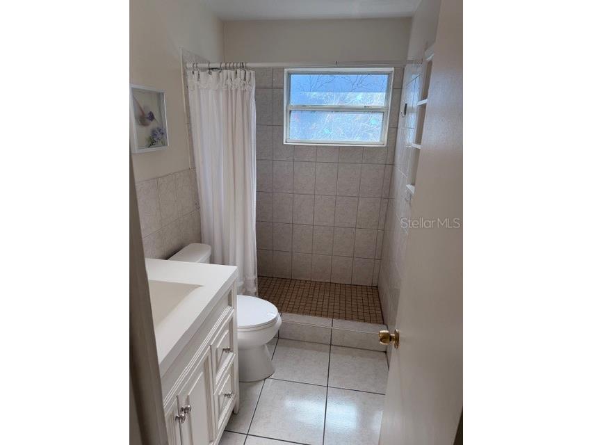 519 Norfolk Street Dunedin FL 34698 W7884973 image14
