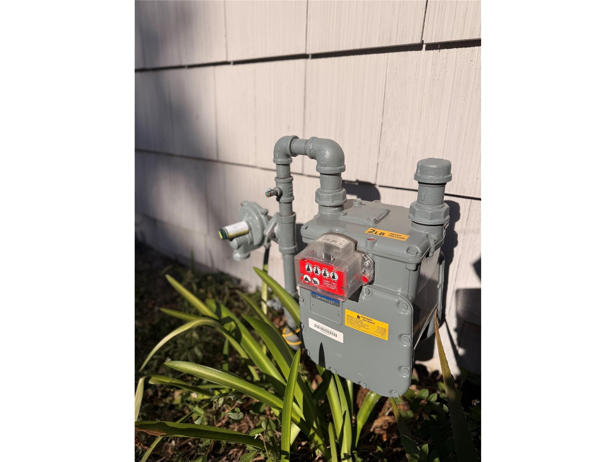 519 Norfolk Street Dunedin FL 34698 W7884973 image22