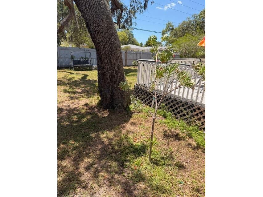 519 Norfolk Street Dunedin FL 34698 W7884973 image28