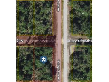 519 Poinciana Drive Indian Lake Estates FL 33855 - WALK-IN-WATER O6346635 image1