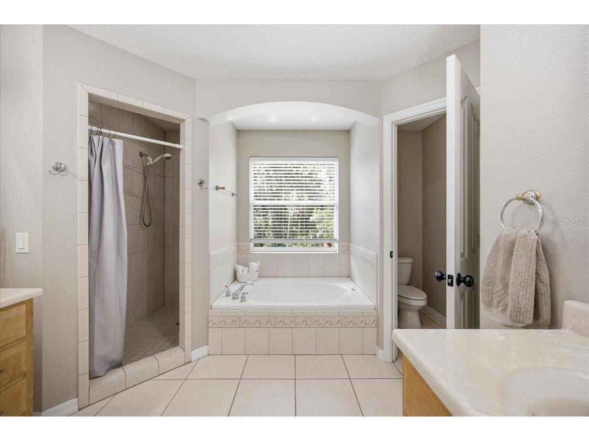519 Teagarden Court Winter Garden FL 34787 O6416709 image12