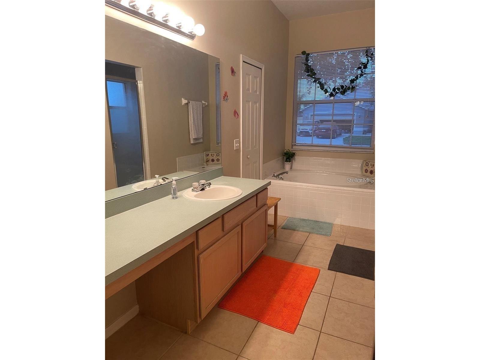 519 Thousand Oaks Boulevard Davenport FL 33896 O6406976 image16