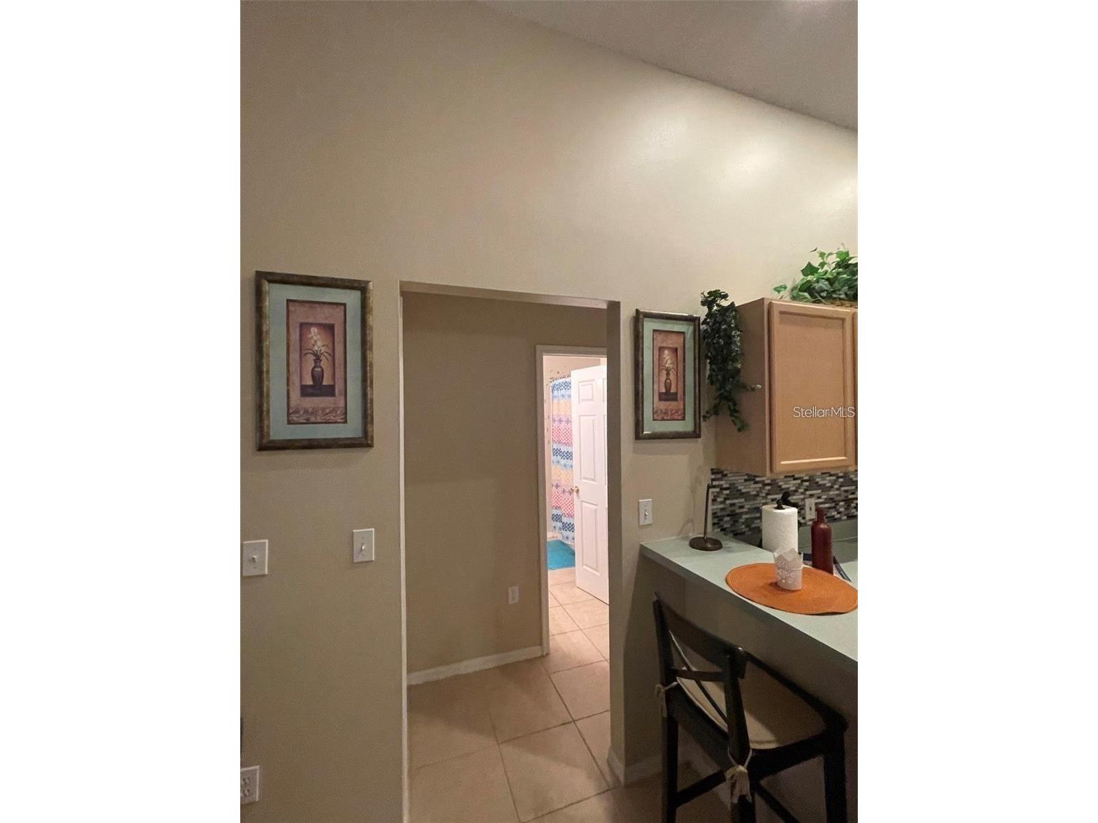 519 Thousand Oaks Boulevard Davenport FL 33896 O6406976 image18