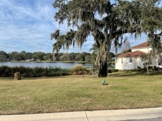 519 W Blue Water Edge Drive Eustis FL 32736 O6390446 image3