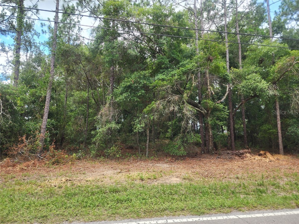 5190 E Anna Jo Drive Inverness FL 34452 GC523156 image1