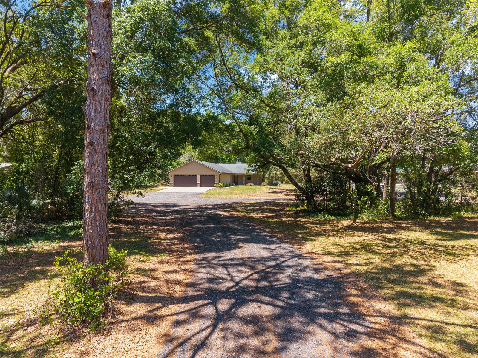 5190 NW 90th Avenue Chiefland FL 32626 W7885637 image5