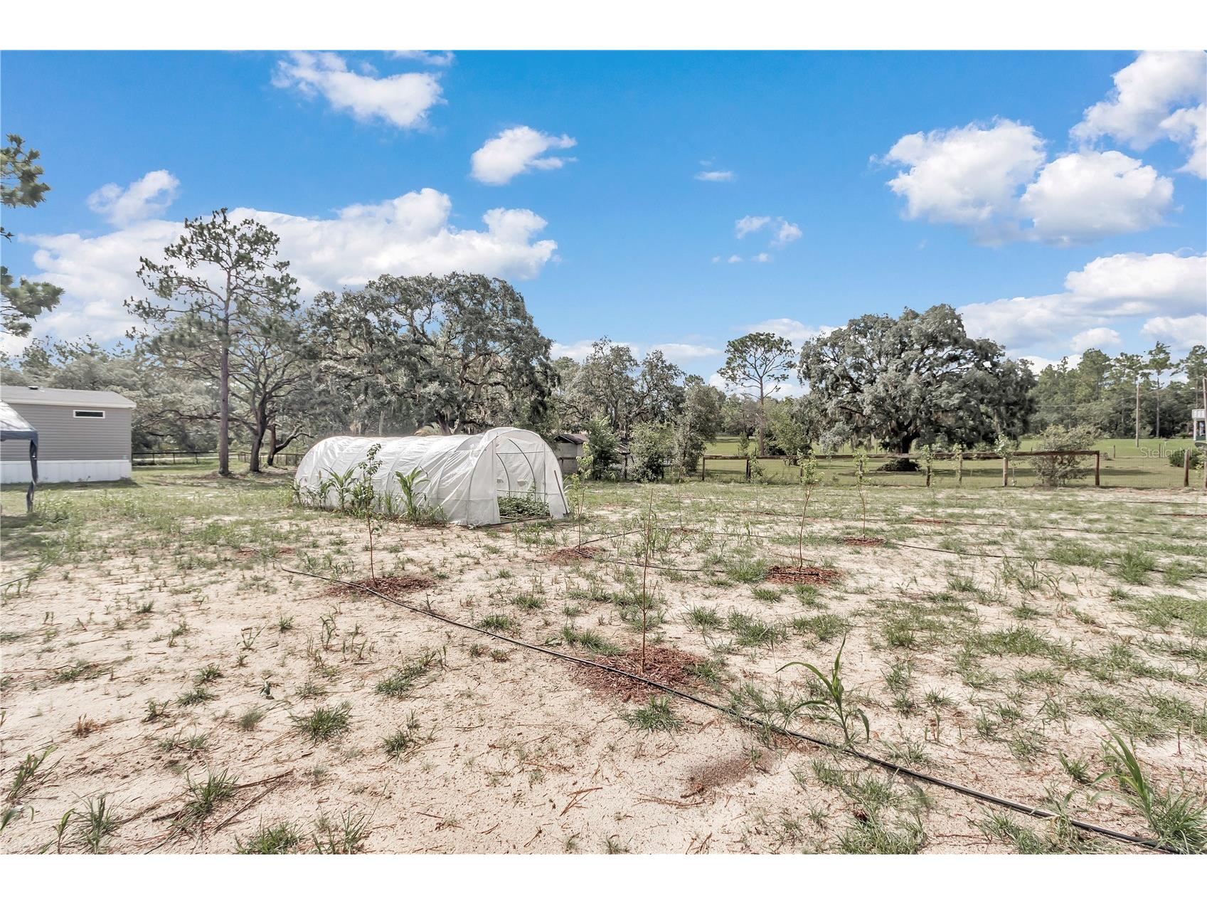 5190 SW 178th Terrace Dunnellon FL 34432 OM715644 image11