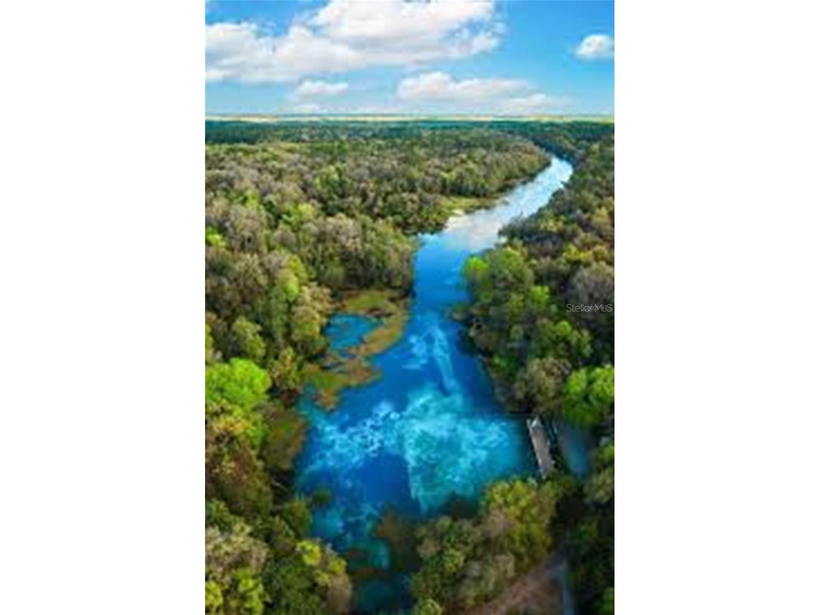 5190 SW 178th Terrace Dunnellon FL 34432 OM715644 image50