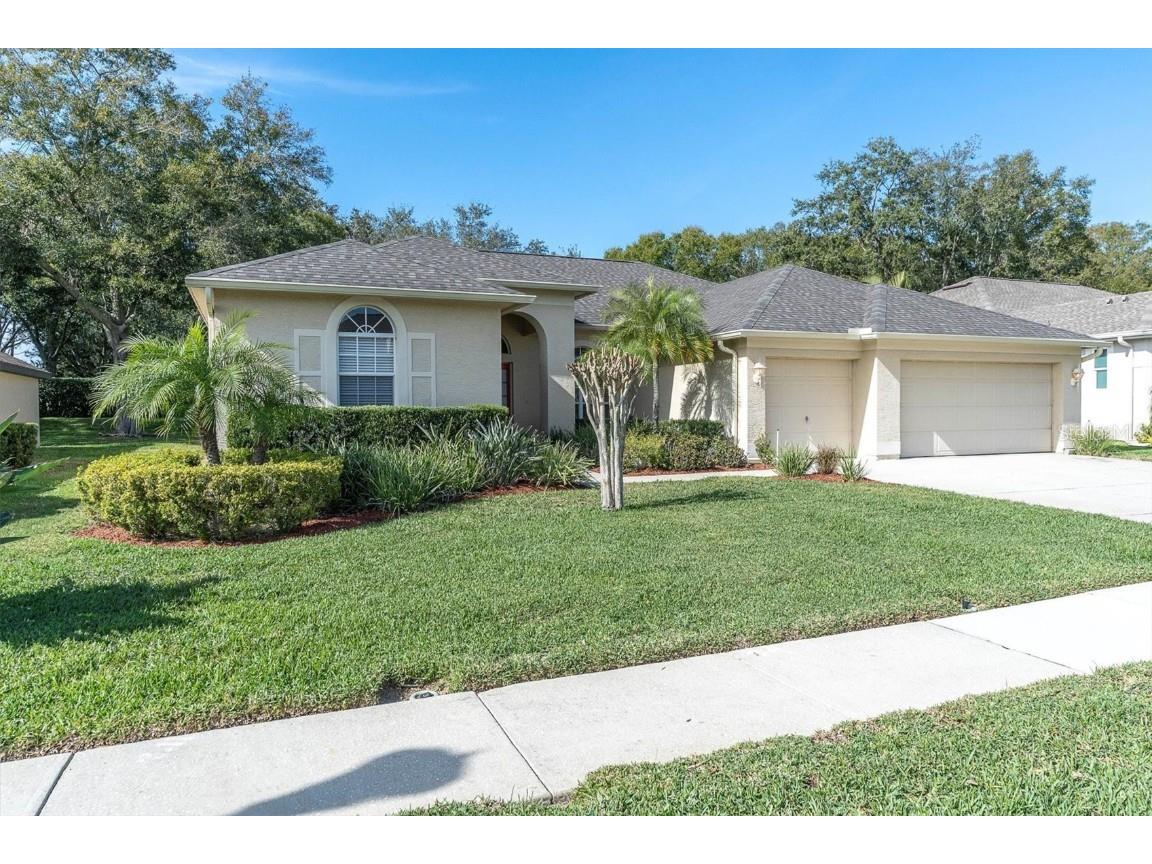 5192 Karlsburg Place Palm Harbor FL 34685 U8225454 image1