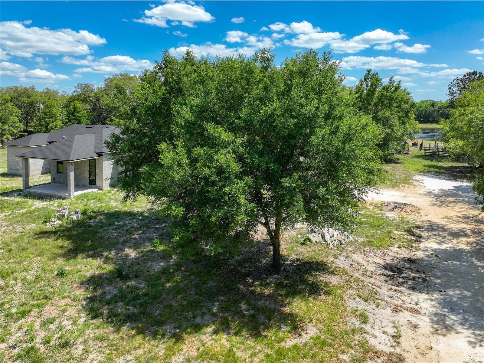 5195 Southern Oaks Court Oviedo FL 32765 O6401737 image83