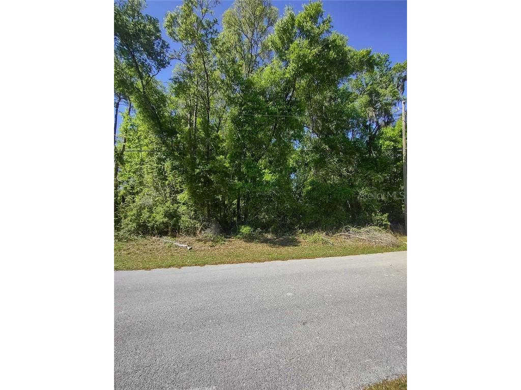 5196 N Alabaster Drive Hernando FL 34442 W7862922 image1