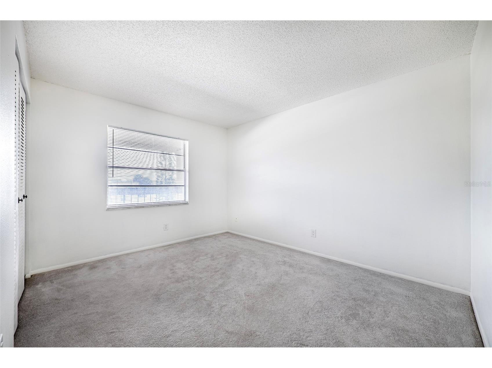 5197 Silent Loop #224 New Port Richey FL 34652 W7882437 image29