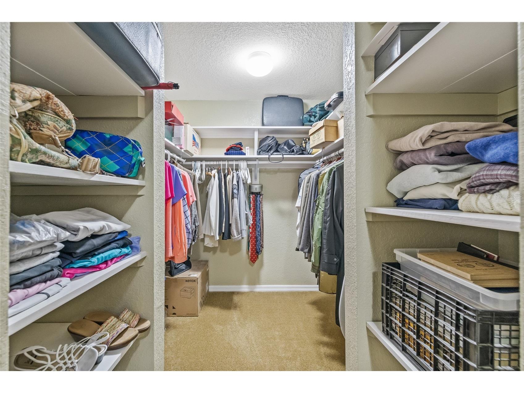 5198 Legend Hills Lane Spring Hill FL 34609 TB8484523 image37