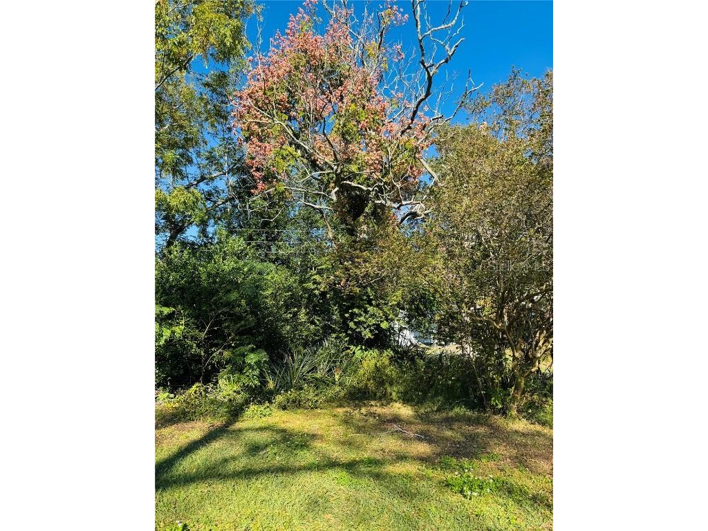 52 Beverly Hills Boulevard Beverly Hills FL 34465 OM711993 image33