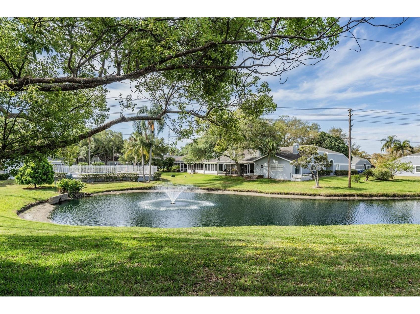 52 Brigton Court Safety Harbor FL 34695 TB8497465 image13