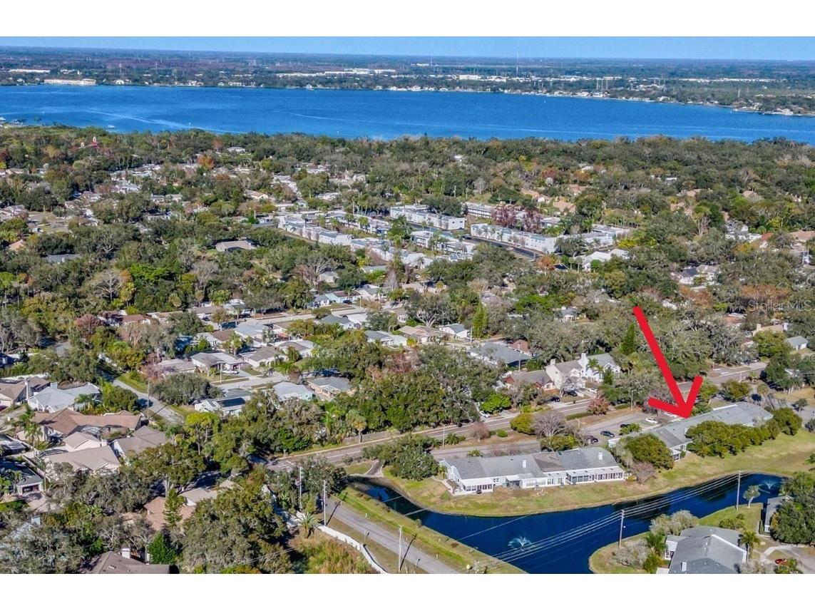 52 Brigton Court Safety Harbor FL 34695 TB8497465 image3