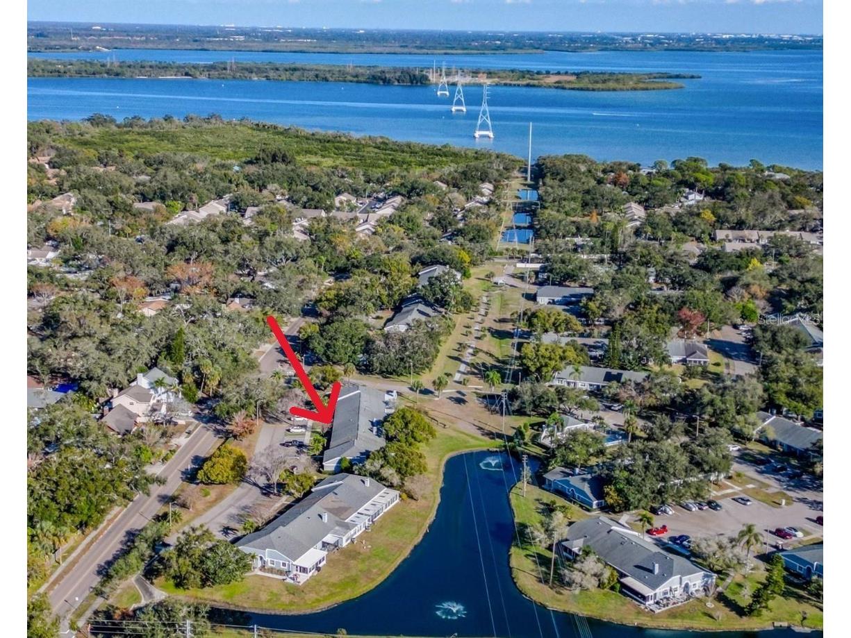 52 Brigton Court Safety Harbor FL 34695 TB8497465 image4