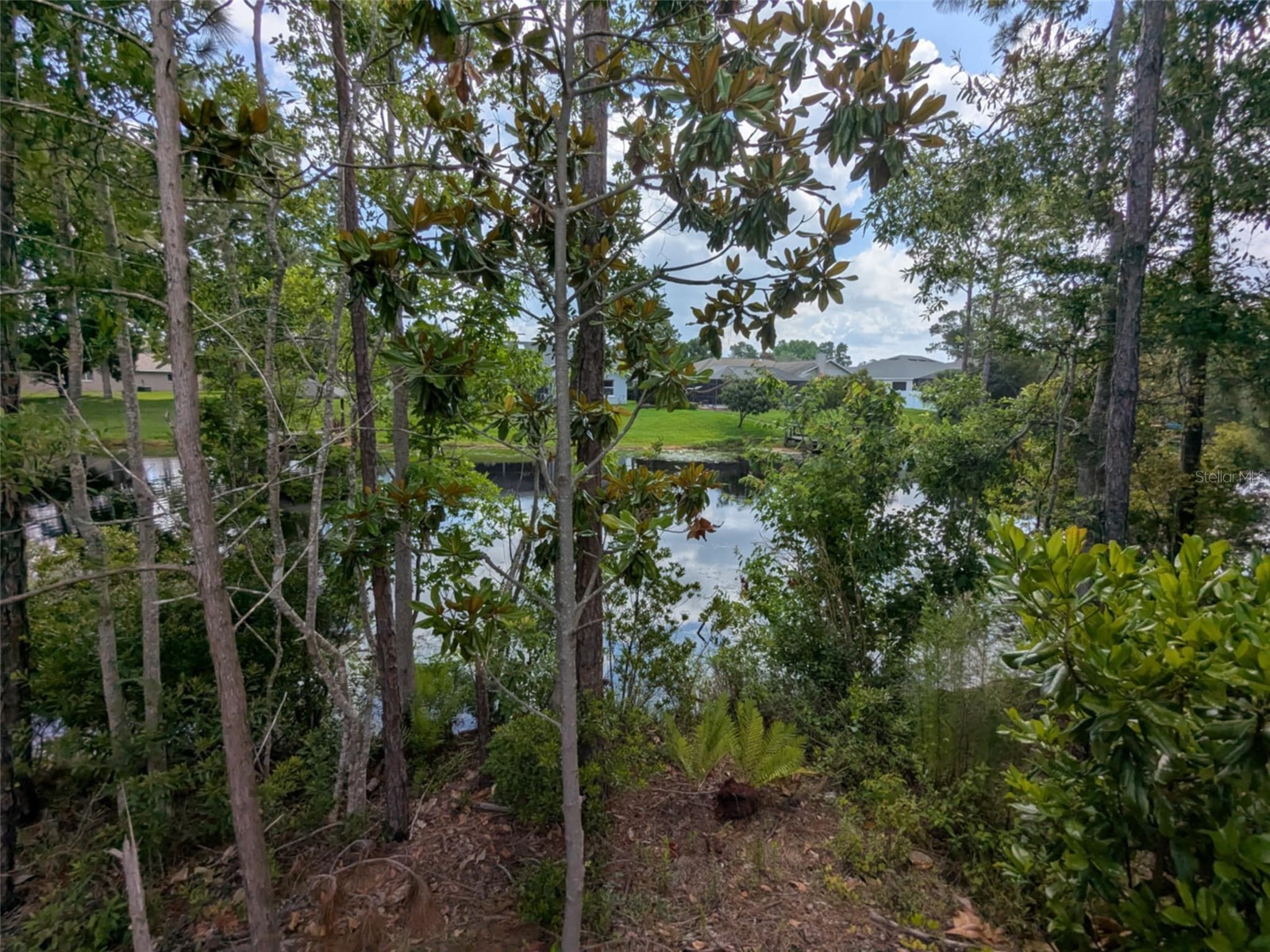 52 Bud Hollow Drive Palm Coast FL 32137 FC316079 image34