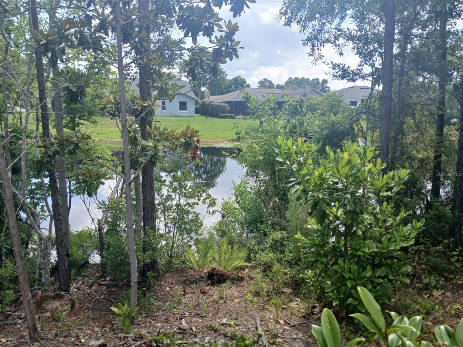 52 Bud Hollow Drive Palm Coast FL 32137 FC316079 image40