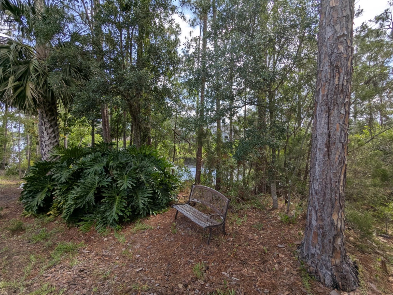 52 Bud Hollow Drive Palm Coast FL 32137 FC316079 image66