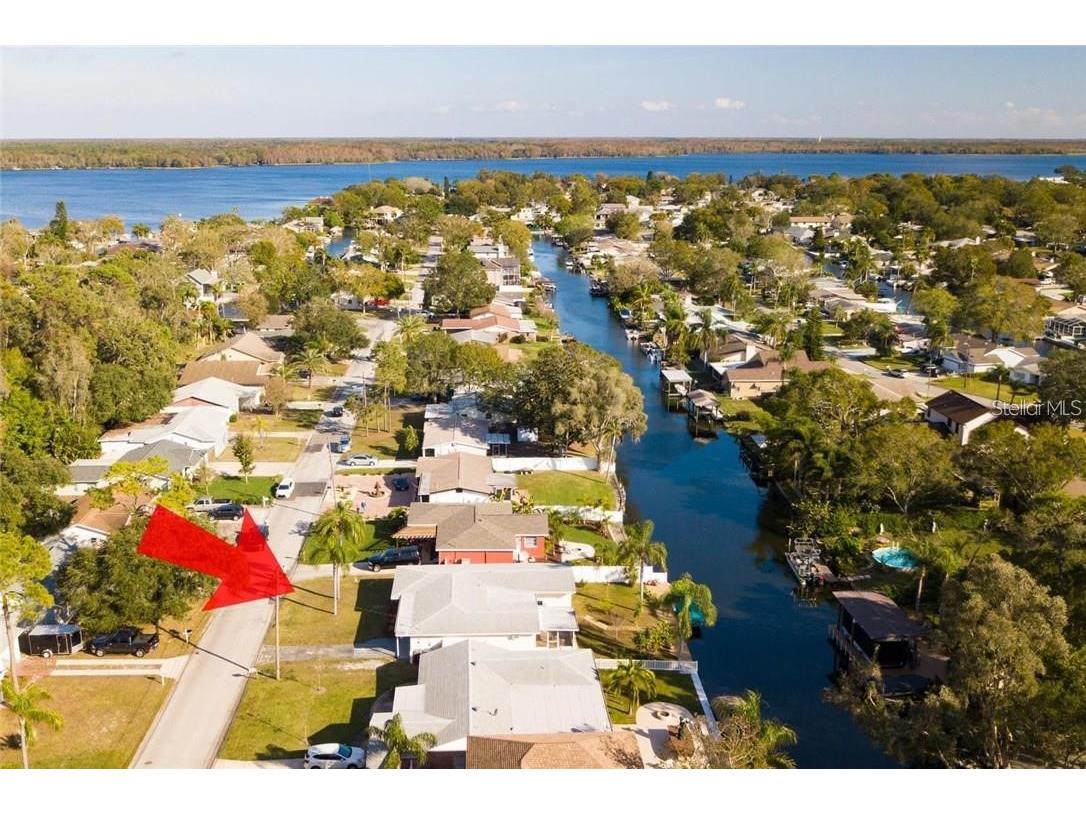 52 Cypress Drive Palm Harbor FL 34684 TB8443563 image11