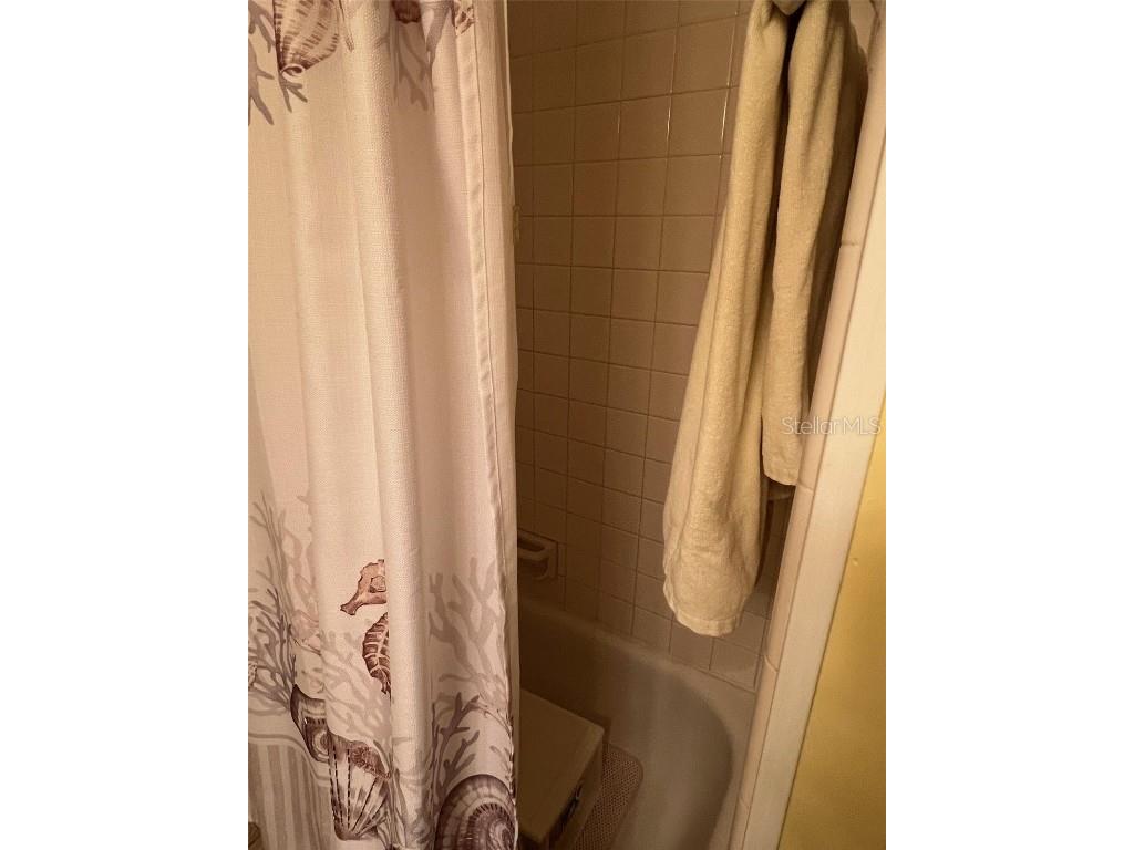 52 Frangipani Circle Largo FL 33770 TB8342016 image33