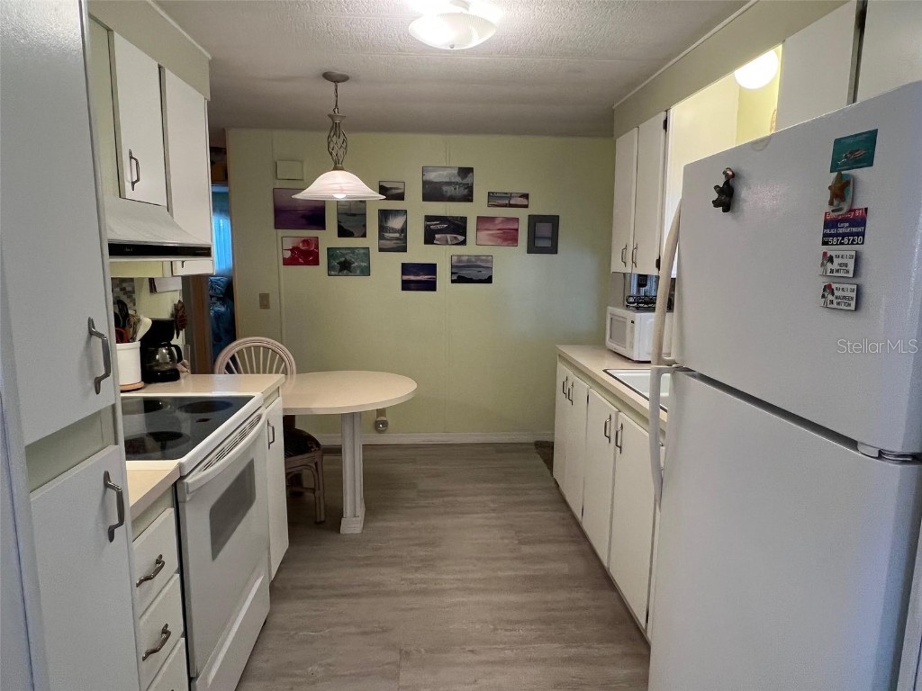 52 Frangipani Circle Largo FL 33770 TB8342016 image7