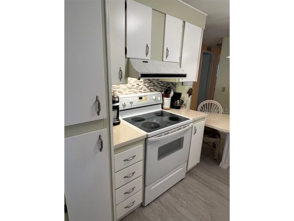 52 Frangipani Circle Largo FL 33770 TB8342016 image8