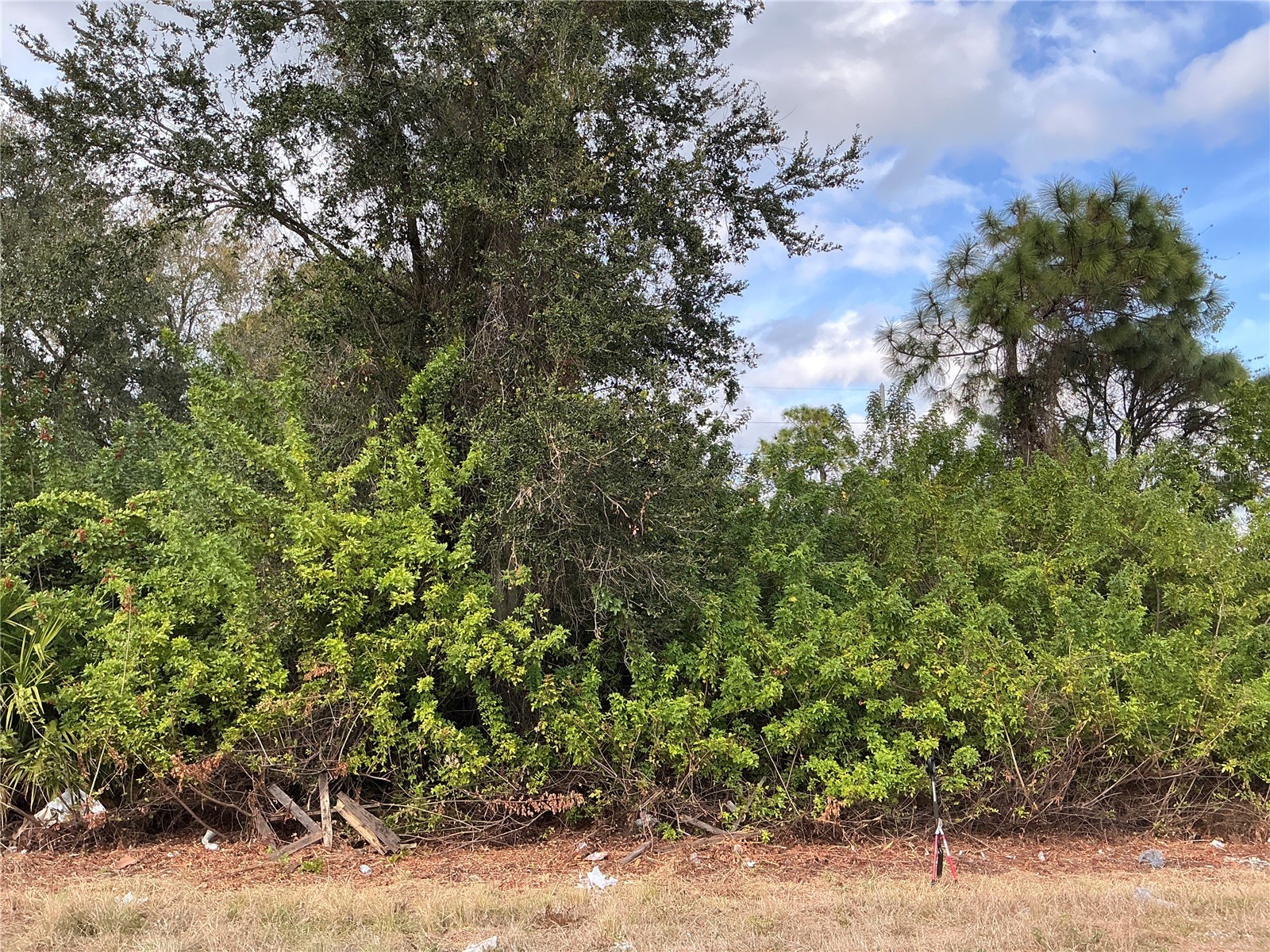 52 Gene Avenue S Lehigh Acres FL 33976 OM719544 image1